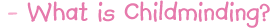 What is Childminding?